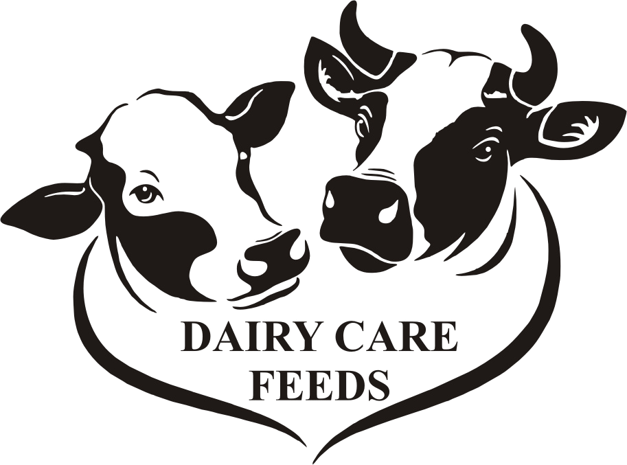 Dairy Care Feeds