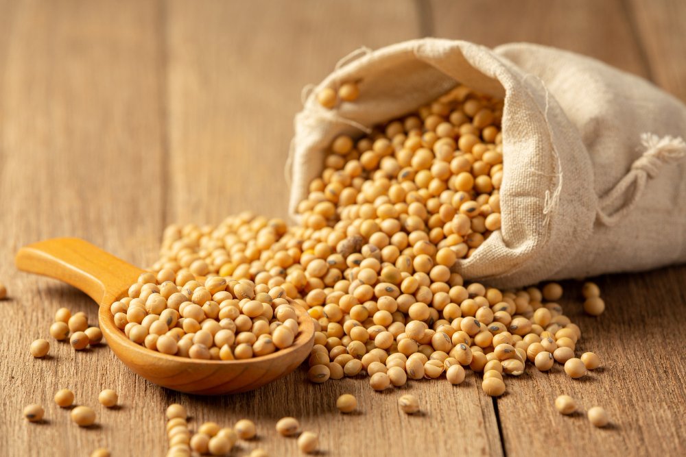 Soybean Meal