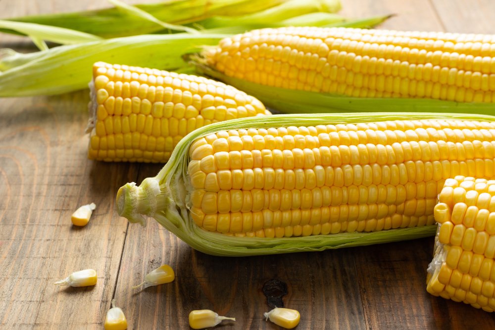 Corn